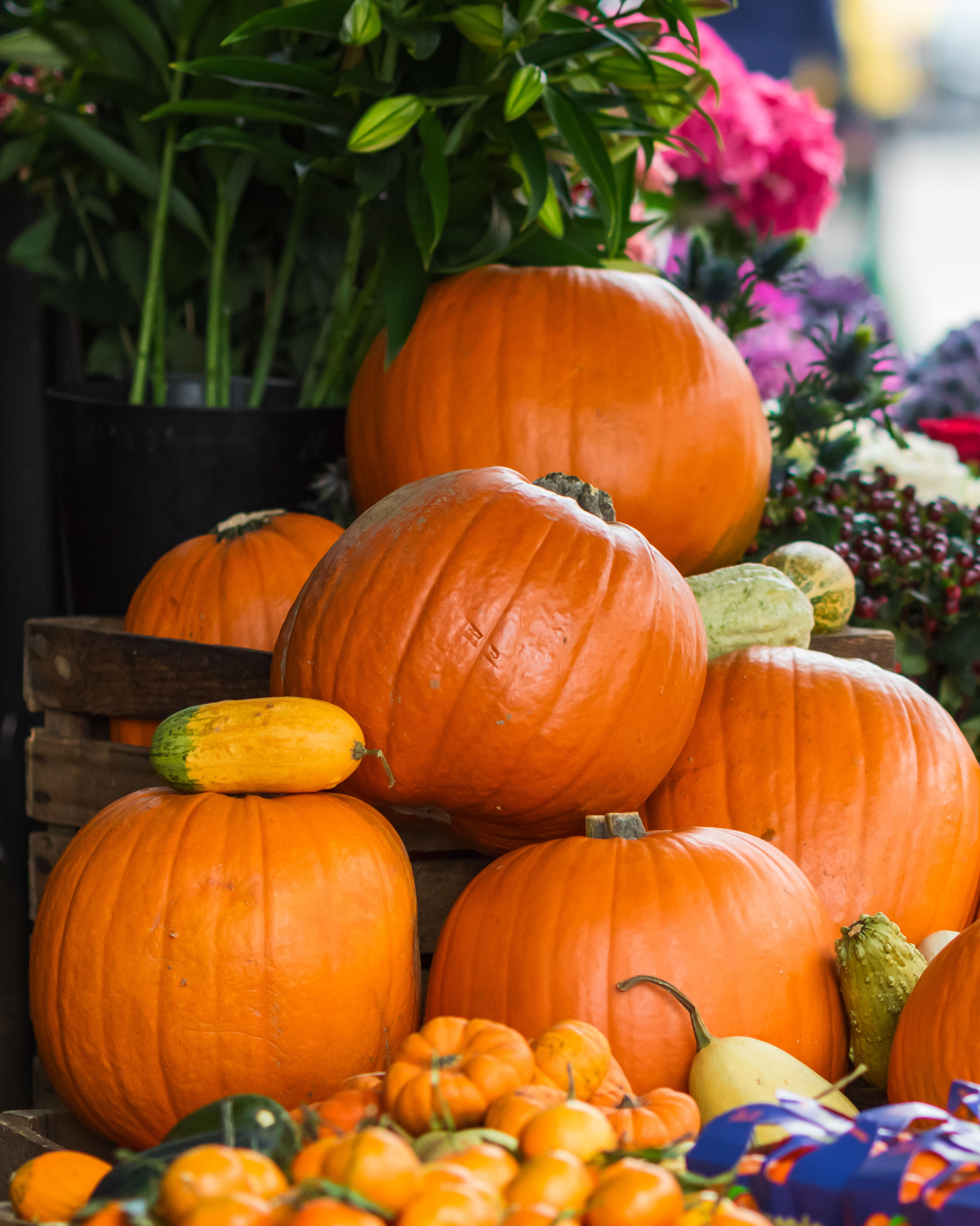 pumpkin displays.jpg