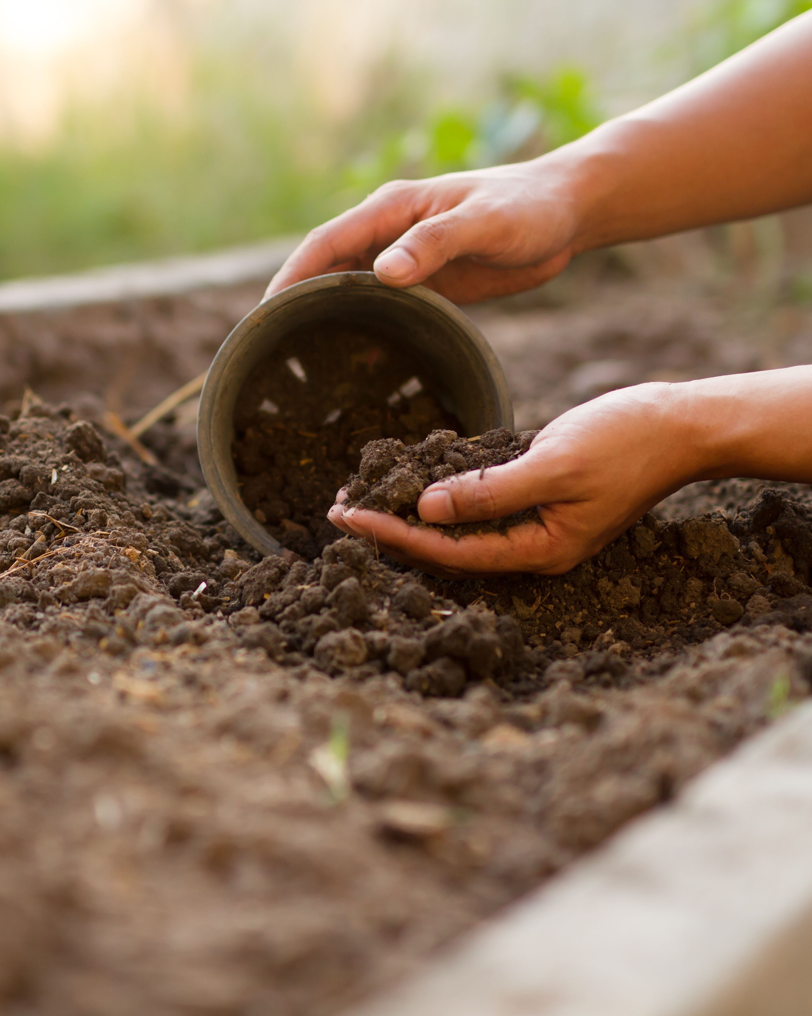 top soil fp.jpg