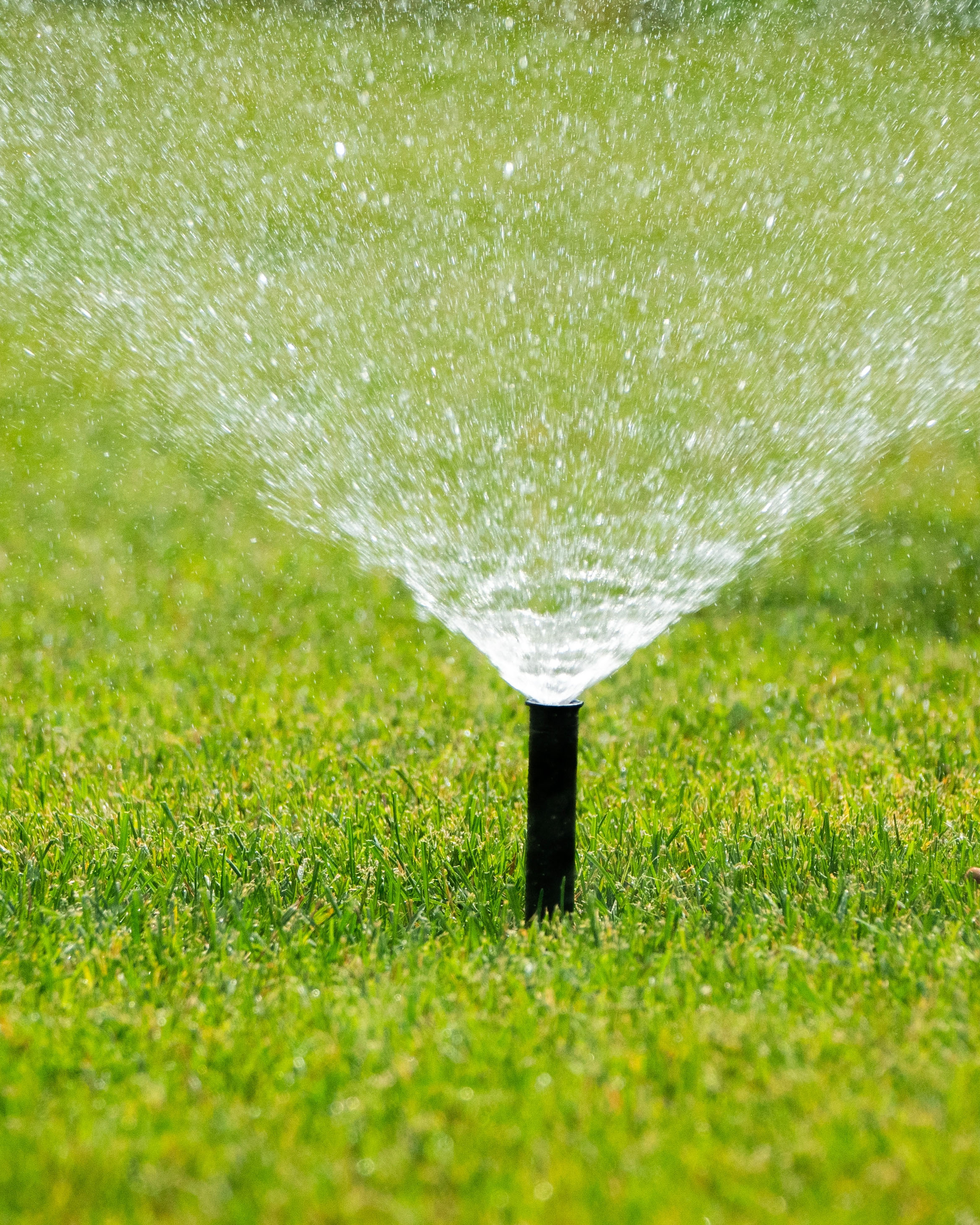 lawn care fp.jpg