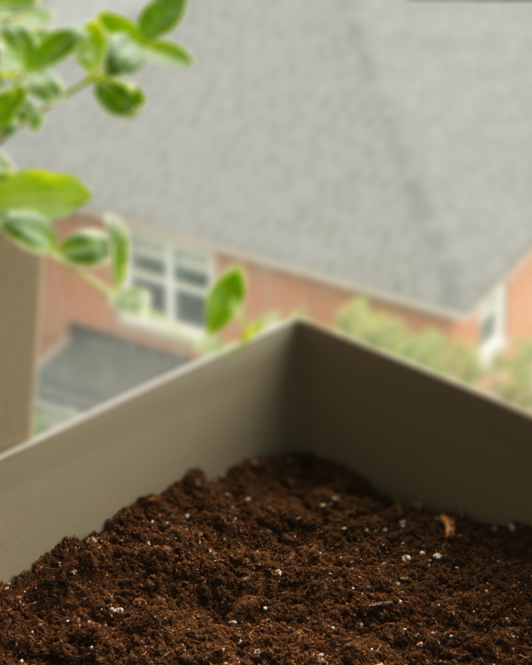 soil cover fp.jpg