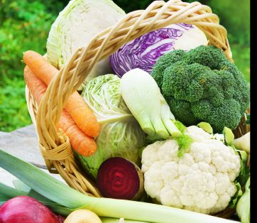 Harvest Time: Growing Your Own Fall Vegetables in Vancouver