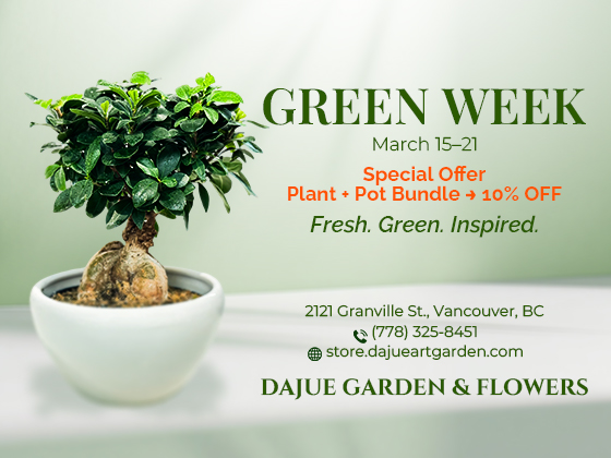 lunar-new-year-promo