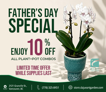 Spring Special Blooms